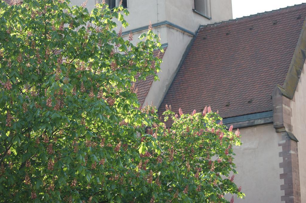 Quai 17 Maison D'Hotes Strasbourg Eksteriør bilde